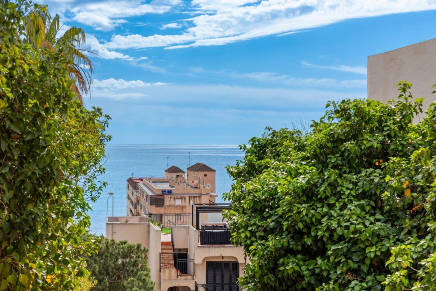 Sea 350M Seaview Apartment Torre Del Moro La Mata  Exterior photo